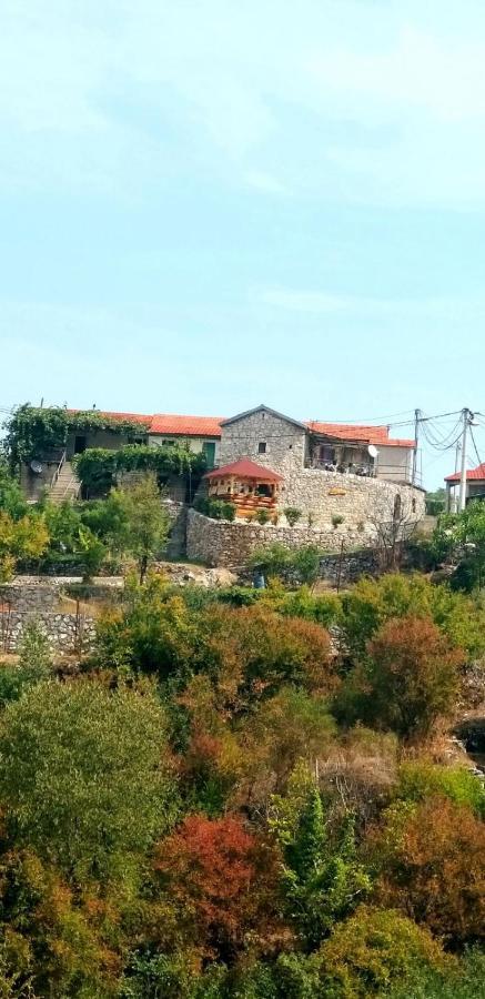 Holiday Home Pavle Rijeka Crnojevića Extérieur photo